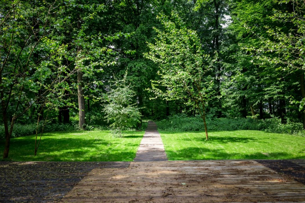 Locatiile TreeHouse - locatii de nunti in aer liber in natura - top locatii de nunta la padure-piscina