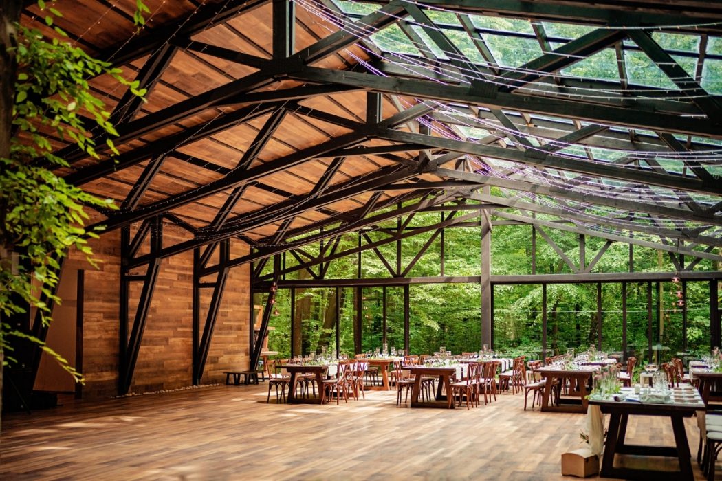 Locatiile TreeHouse - locatii de nunti in aer liber in natura - top locatii de nunta la padure-piscina