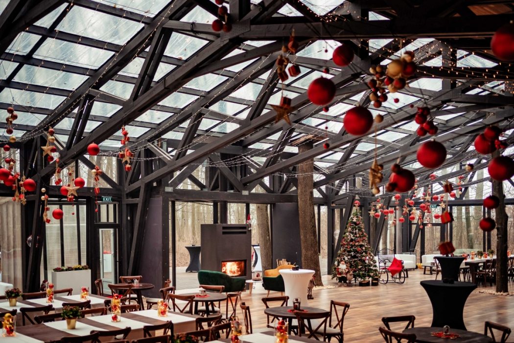 Locatiile TreeHouse - locatii de nunti in aer liber in natura - top locatii de nunta la padure-piscina