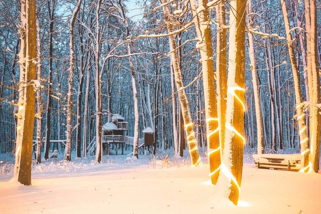 Locatiile TreeHouse - locatii de nunti in aer liber in natura - top locatii de nunta la padure-piscina