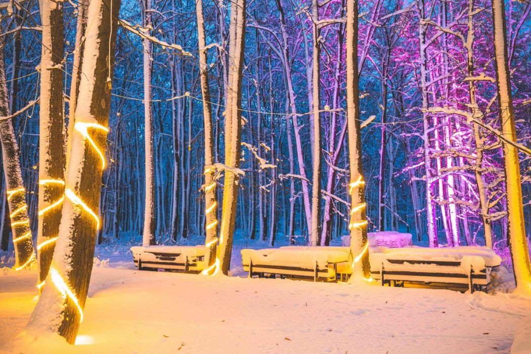 Locatiile TreeHouse - locatii de nunti in aer liber in natura - top locatii de nunta la padure-piscina