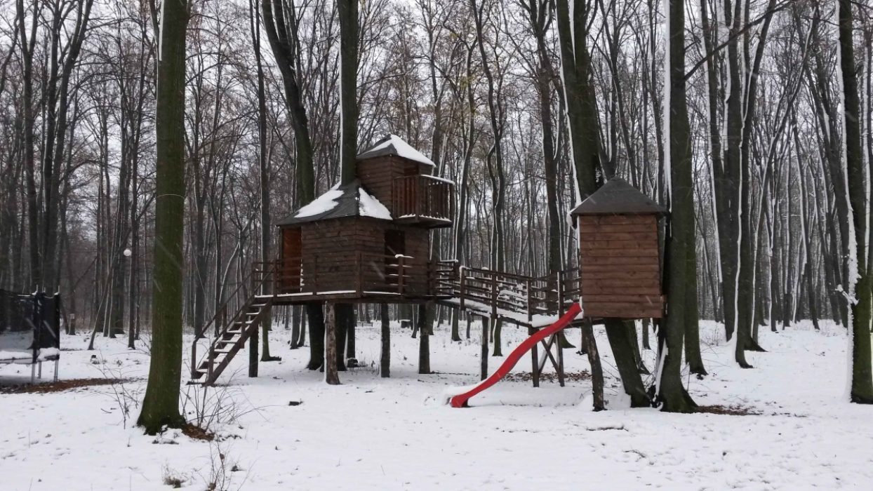 Locatiile TreeHouse - locatii de nunti in aer liber in natura - top locatii de nunta la padure-piscina