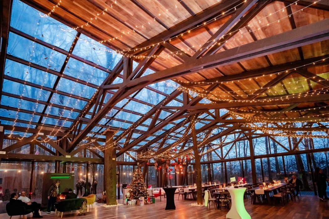 Locatiile TreeHouse - locatii de nunti in aer liber in natura - top locatii de nunta la padure-piscina