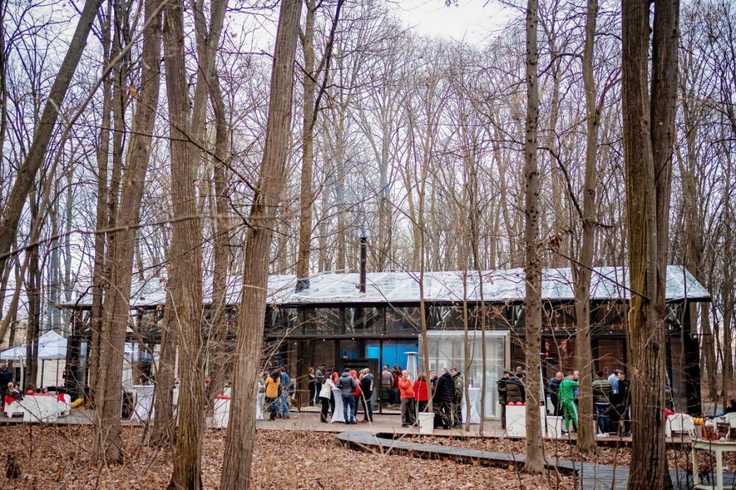 Locatiile TreeHouse - locatii de nunti in aer liber in natura - top locatii de nunta la padure-piscina