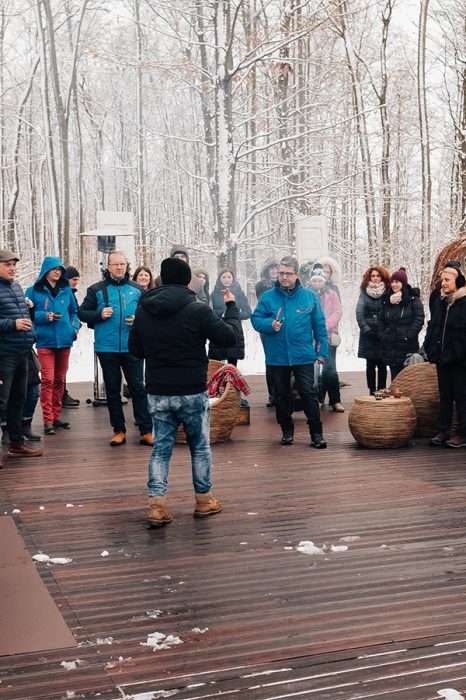 Locatiile TreeHouse - locatii de nunti in aer liber in natura - top locatii de nunta la padure-piscina