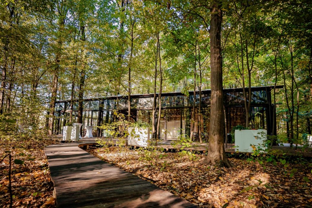 Locatiile TreeHouse - locatii de nunti in aer liber in natura - top locatii de nunta la padure-piscina