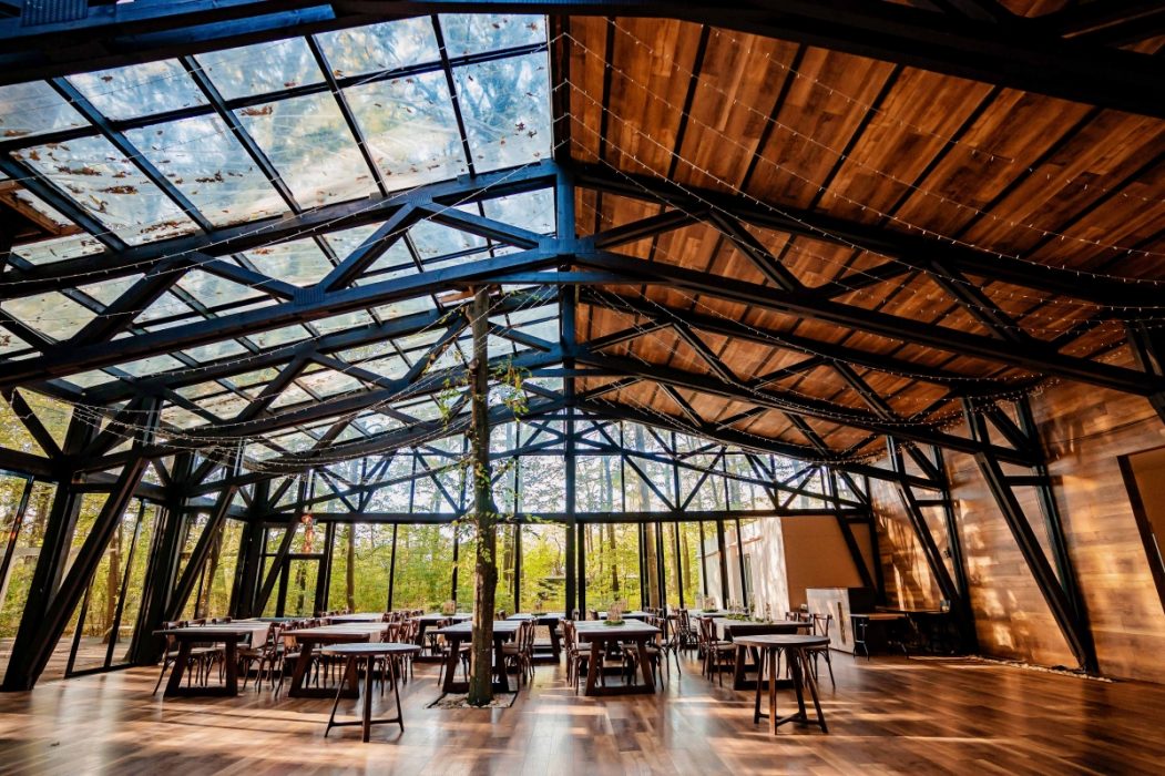 Locatiile TreeHouse - locatii de nunti in aer liber in natura - top locatii de nunta la padure-piscina