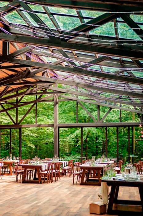 Locatiile TreeHouse - locatii de nunti in aer liber in natura - top locatii de nunta la padure-piscina