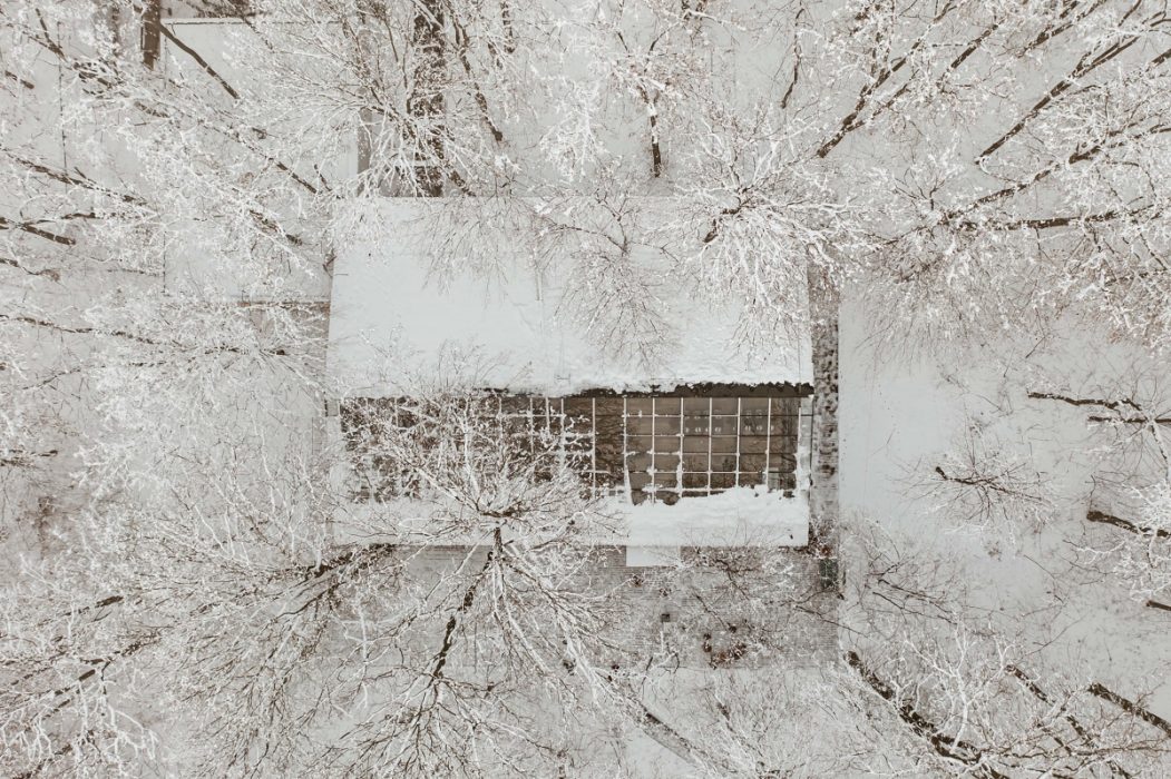 Locatiile TreeHouse - locatii de nunti in aer liber in natura - top locatii de nunta la padure-piscina