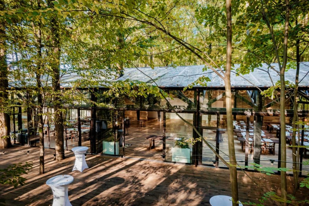 Evenimente companii in padure