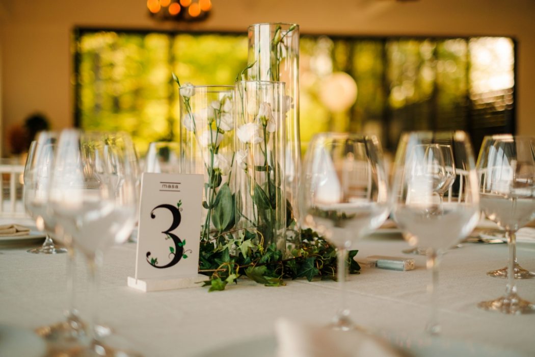 Locatiile TreeHouse - locatii de nunti in aer liber in natura - top locatii de nunta la padure-piscina