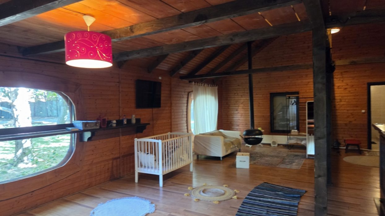 Locatiile TreeHouse - locatii de nunti in aer liber in natura - top locatii de nunta la padure-piscina