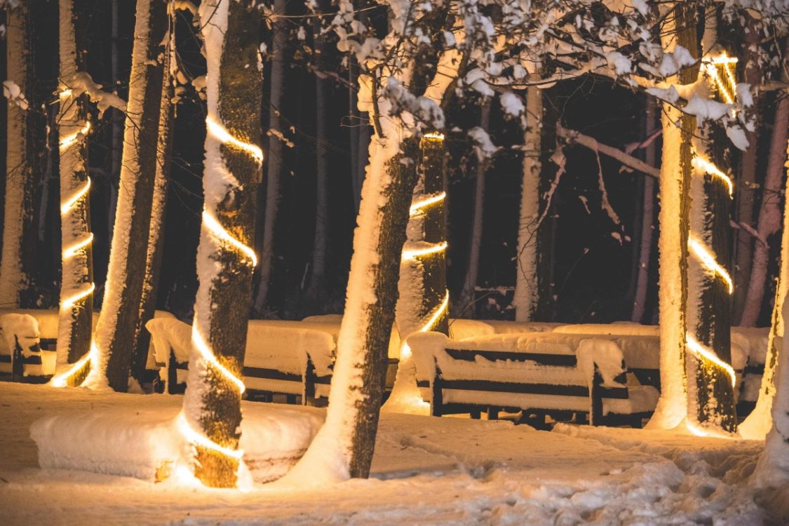Locatiile TreeHouse - locatii de nunti in aer liber in natura - top locatii de nunta la padure-piscina