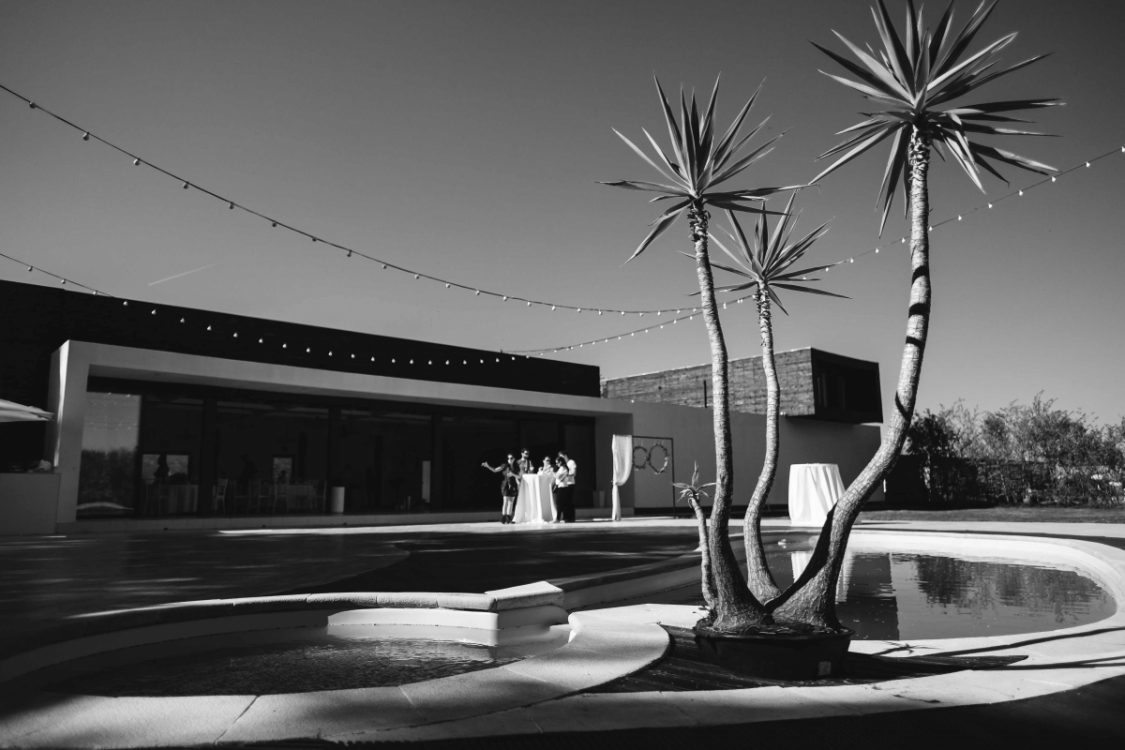 Locatiile TreeHouse - locatii de nunti in aer liber in natura - top locatii de nunta la padure-piscina