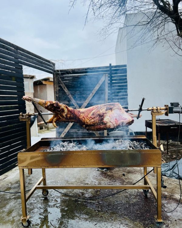 petrecere in aer liber