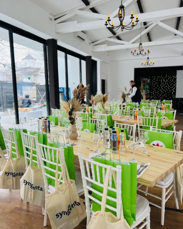 petrecere in aer liber