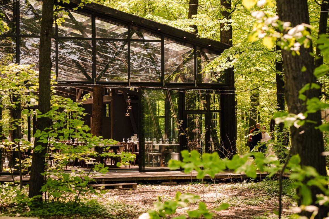 petrecere in aer liber