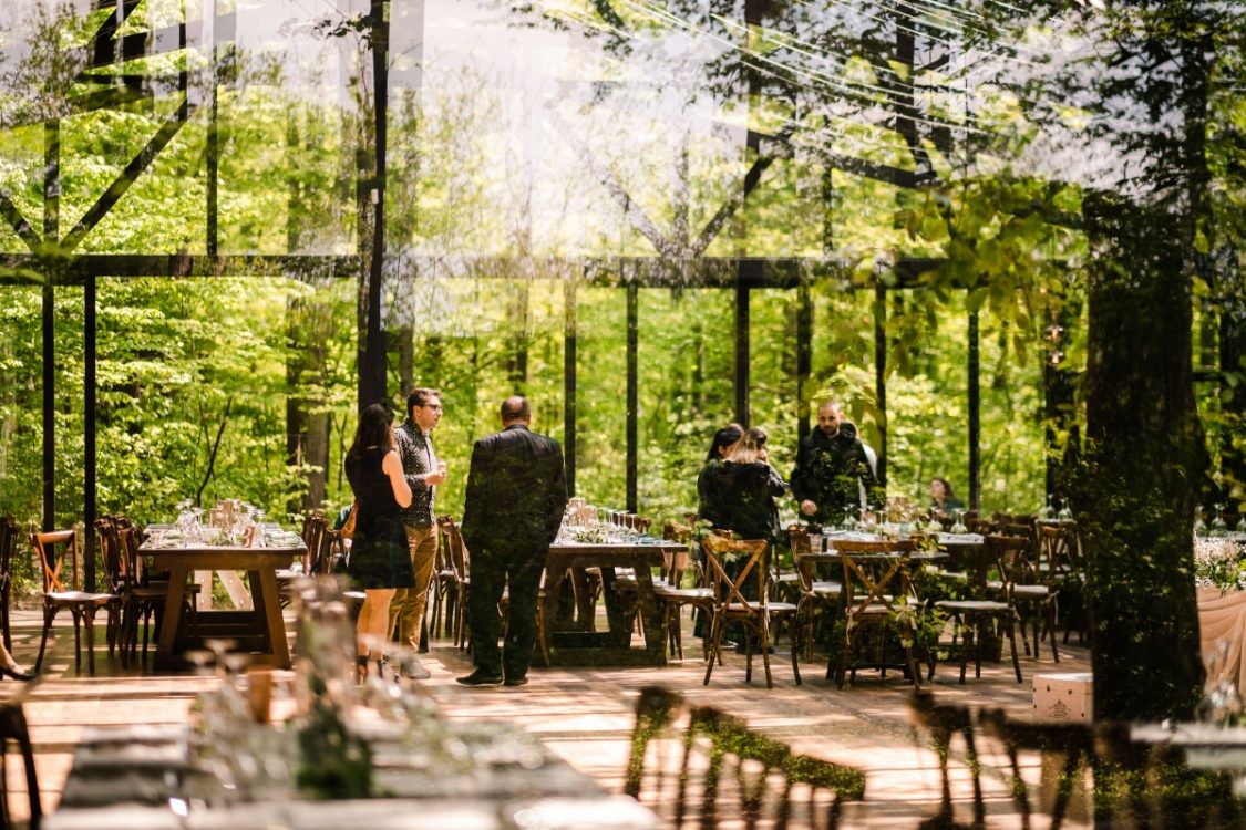 petrecere in aer liber